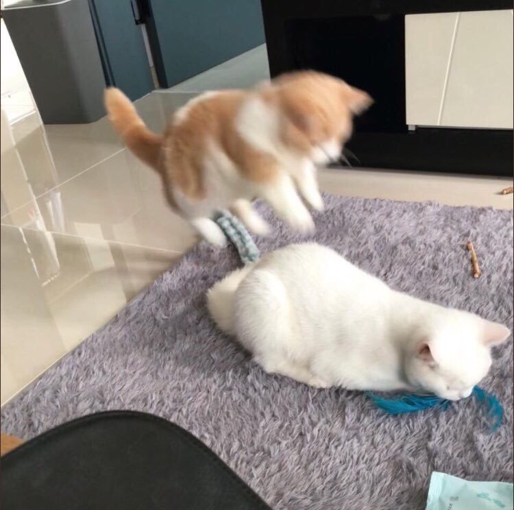 어노잉 이미지