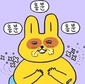 송엘림 이미지