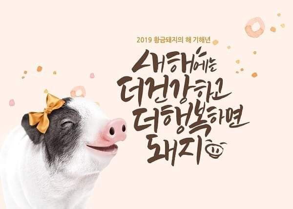 잘돼지 이미지