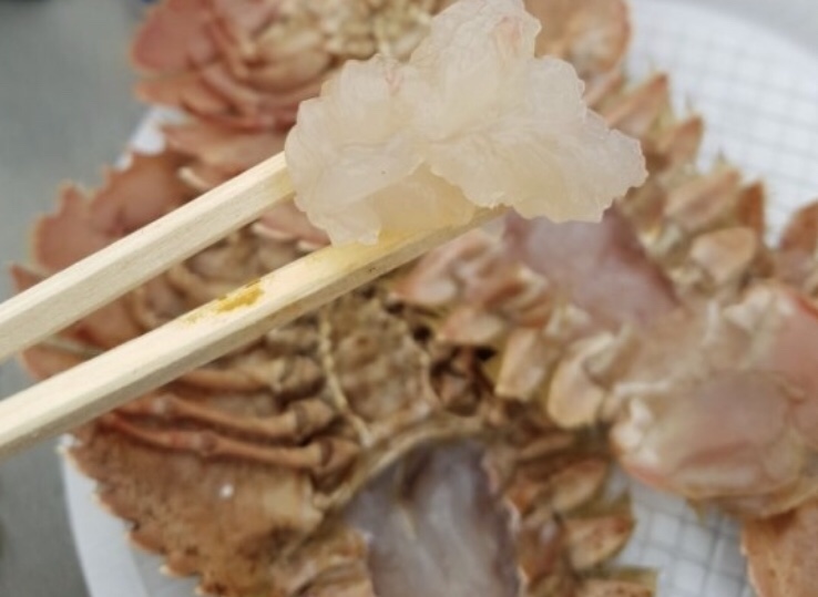 달빛수산 이미지