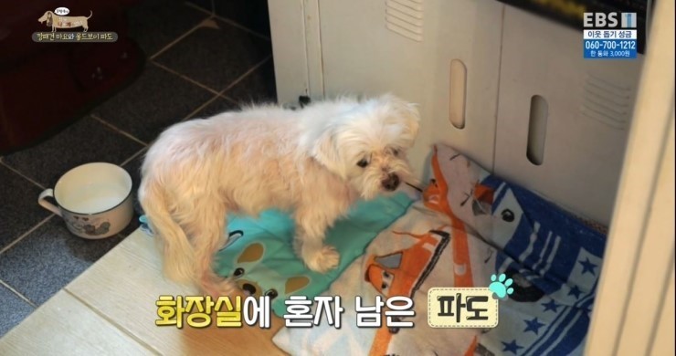 오일육 이미지