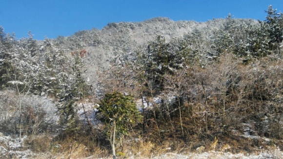 염소마을 이미지