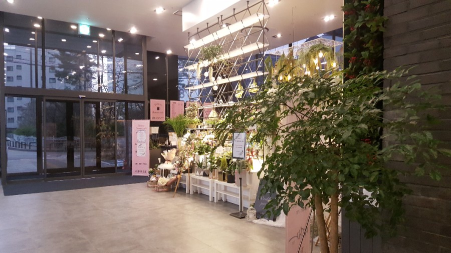 테레사플라워 이미지