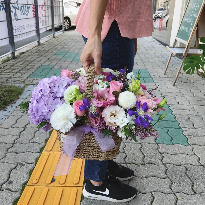 꽃그리다바이엘라 이미지