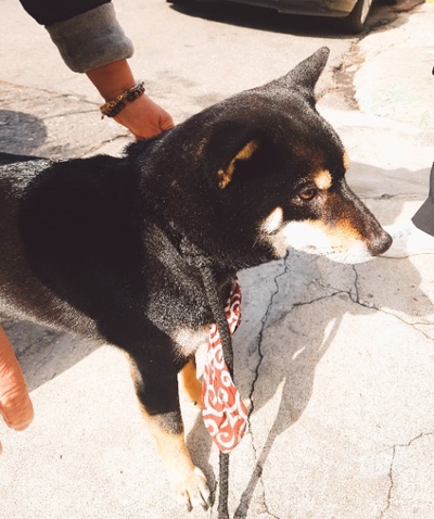 차담정2 이미지