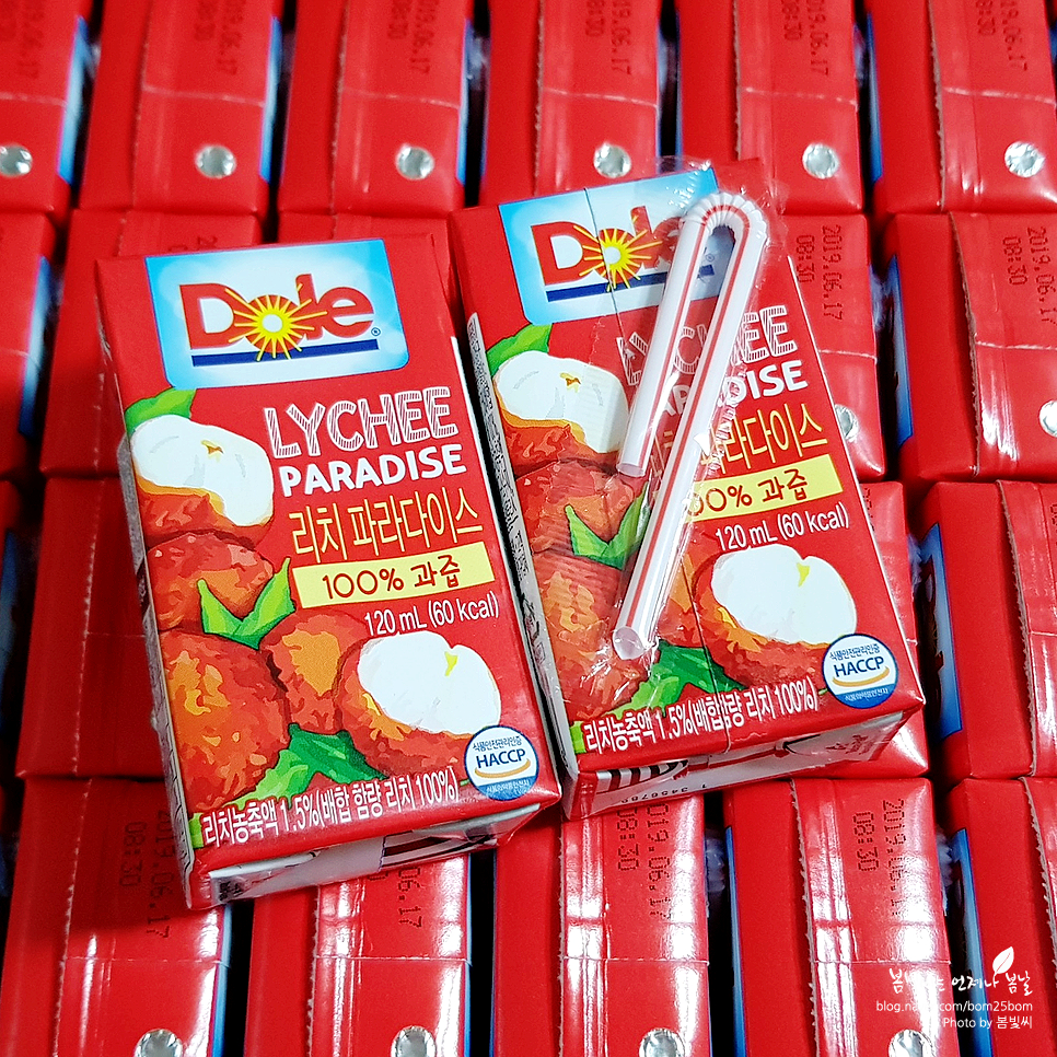 리치파라다이스 이미지