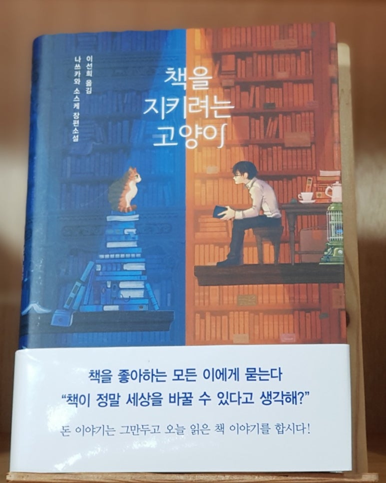 소금빛서점 이미지