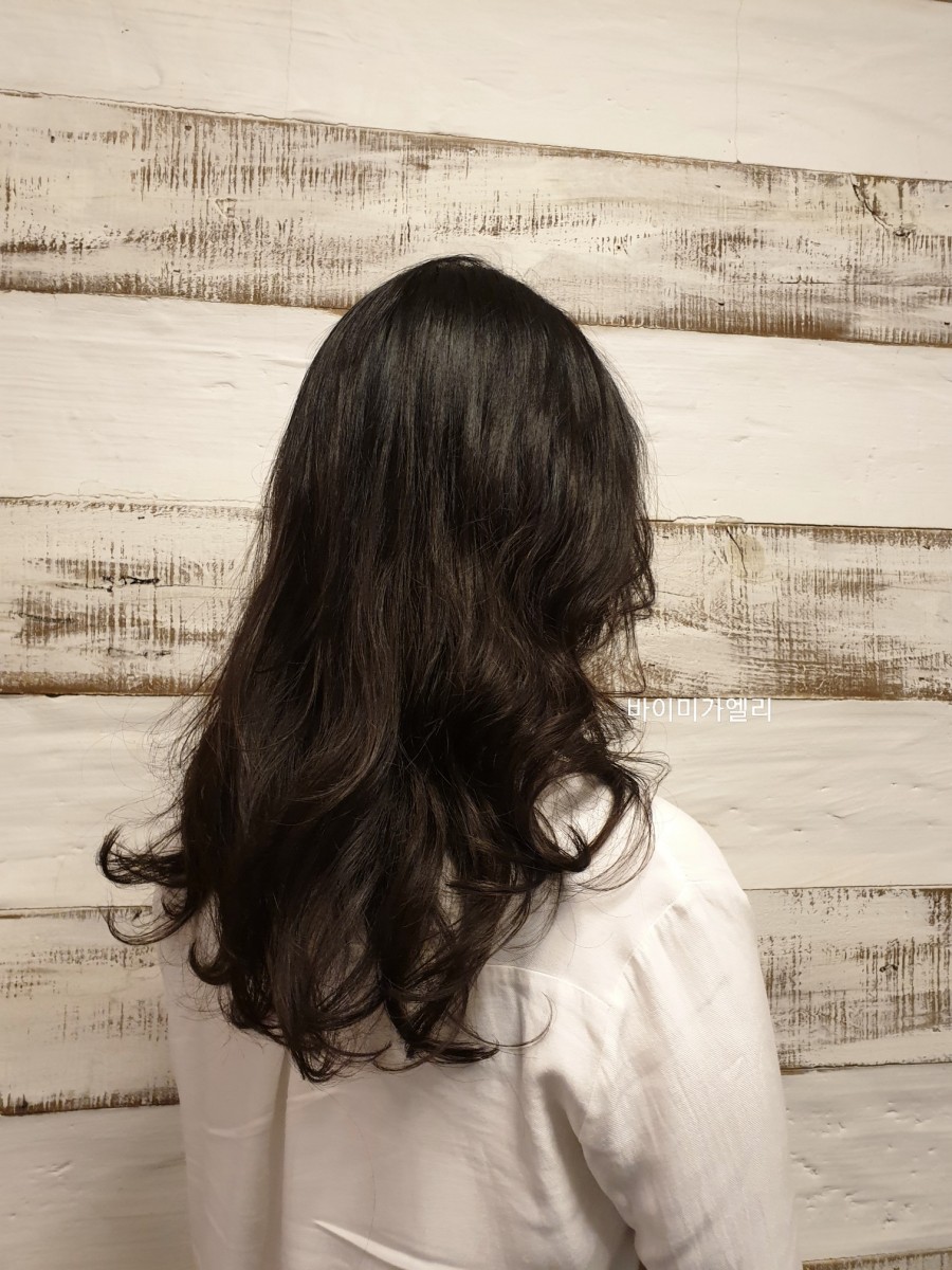 봄파마 이미지
