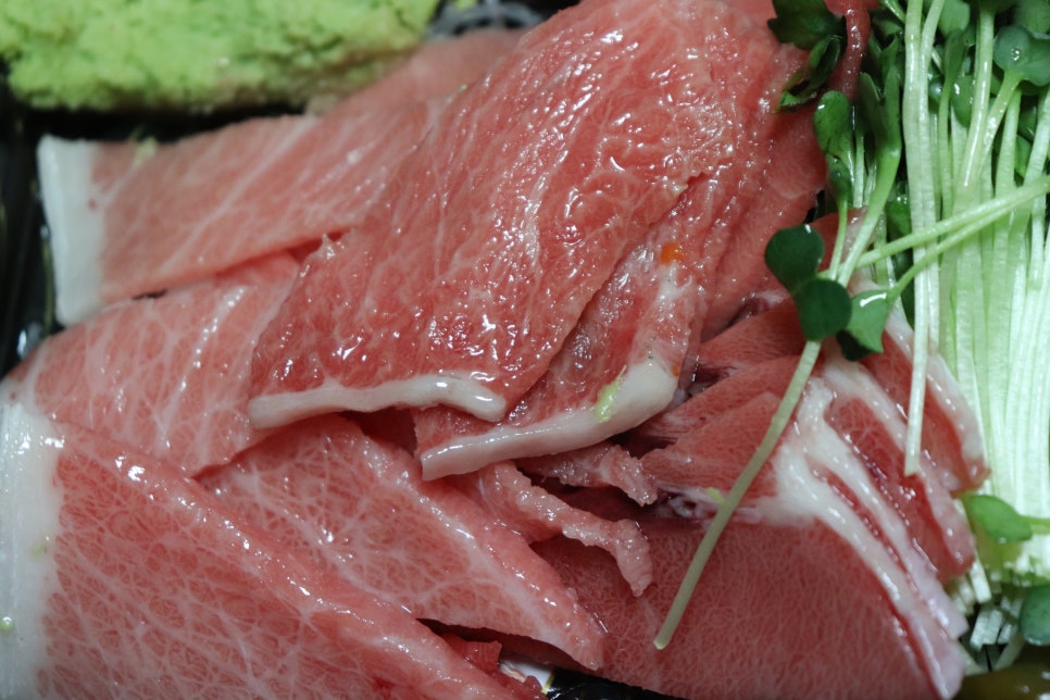해도참치 이미지