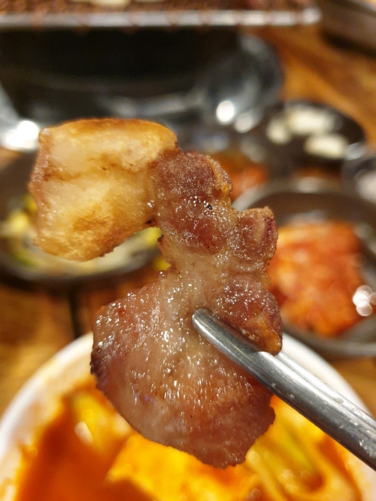 도니마니 이미지
