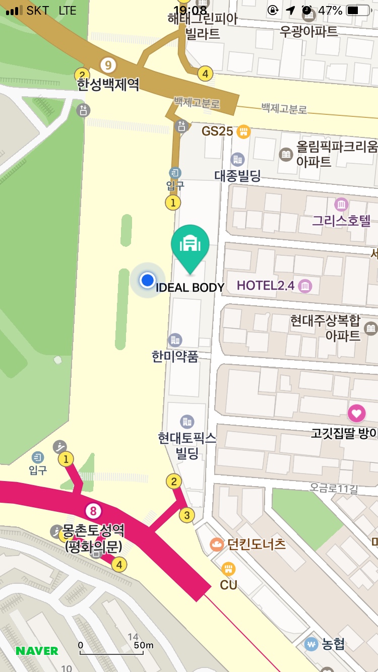 아이디얼바디 이미지