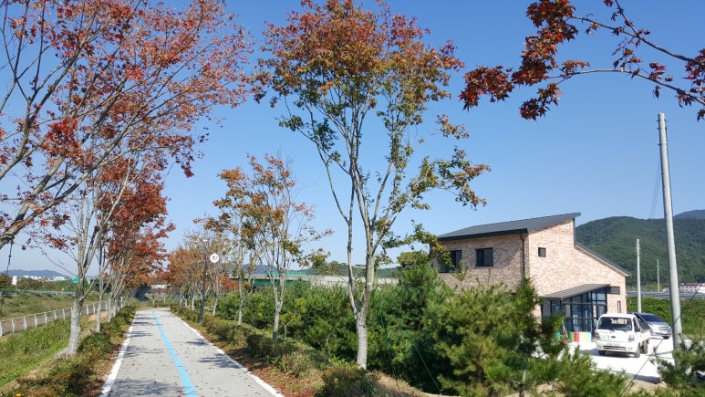 나무206 이미지