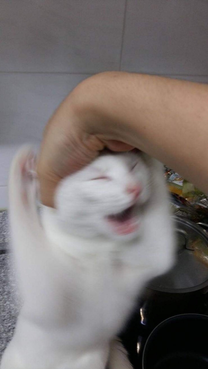 용쓰까페 이미지