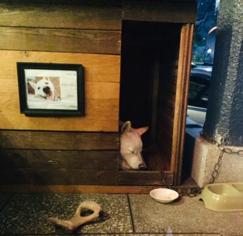 펄디스트릭(Pearl DISTRICT) 이미지