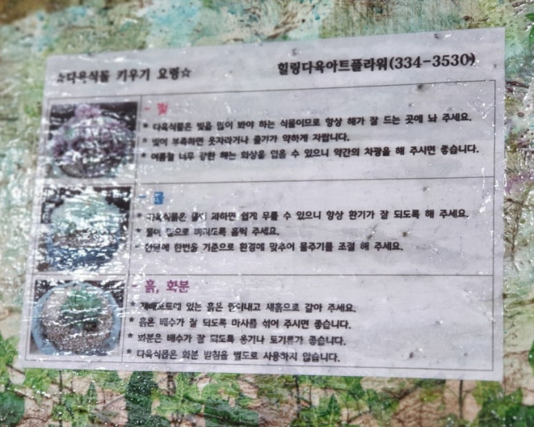 동심다육 이미지