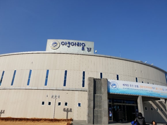 (주)경포아쿠아리움 이미지