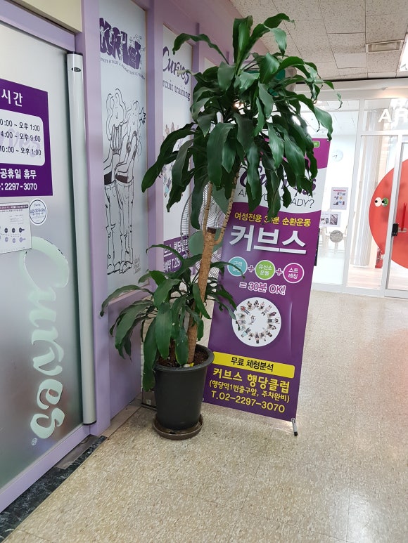 커브스행당클럽 이미지