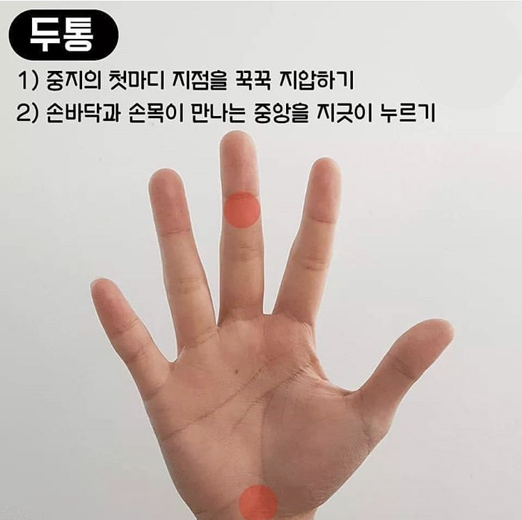 갤러리손 이미지