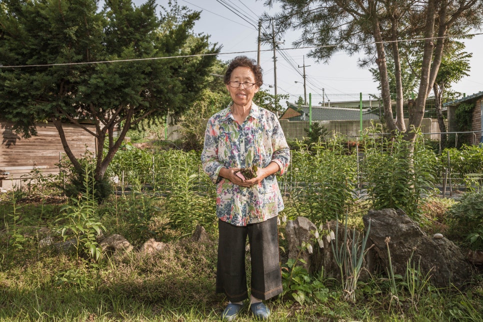 한국농약씨앗 이미지