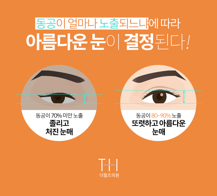 더아름다운성형외과의원 이미지