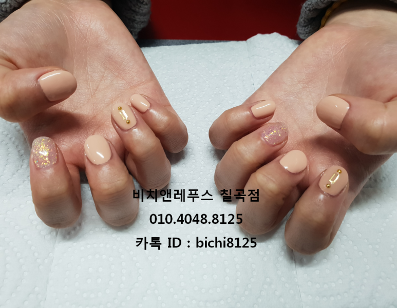 비치앤레푸스 이미지