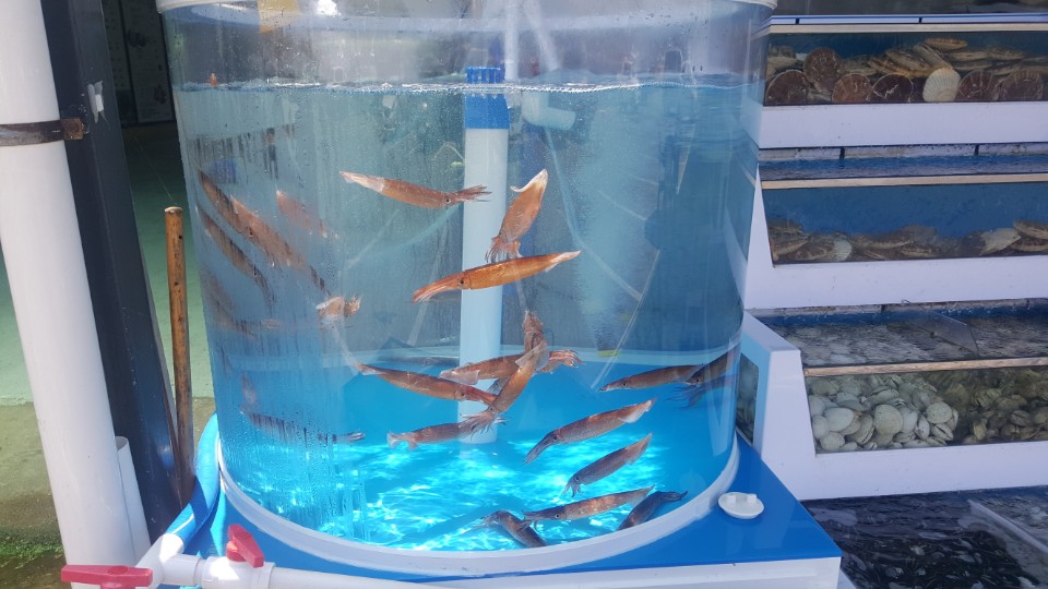 총각과바다 이미지