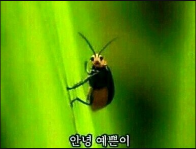 광주엔진 이미지
