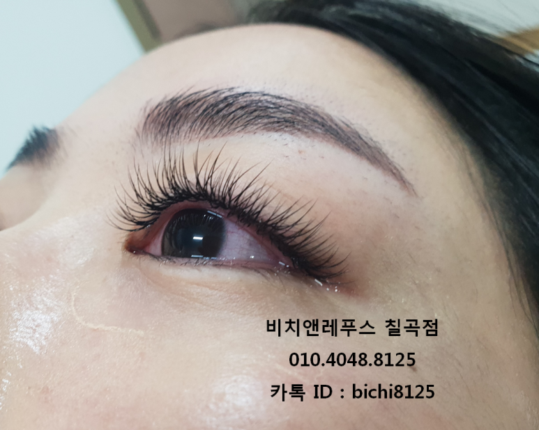 비치앤레푸스 이미지