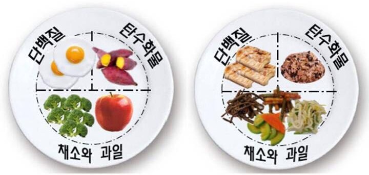 드림핏 이미지