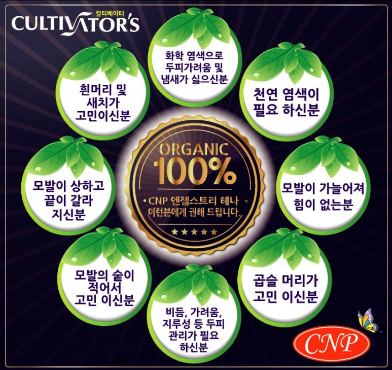 헤나스토리 이미지