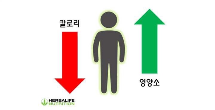 드림핏 이미지