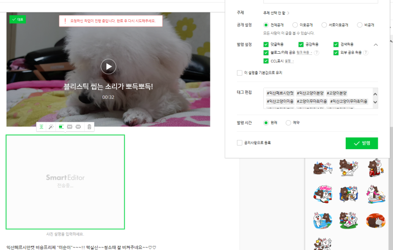 블리스캣 이미지