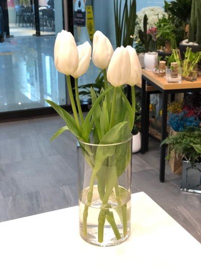 오드 비올렛 이미지