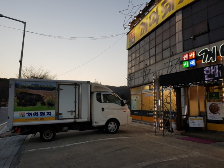 선사시대꺼먹돼지 이미지