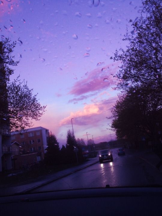 보라색 이미지