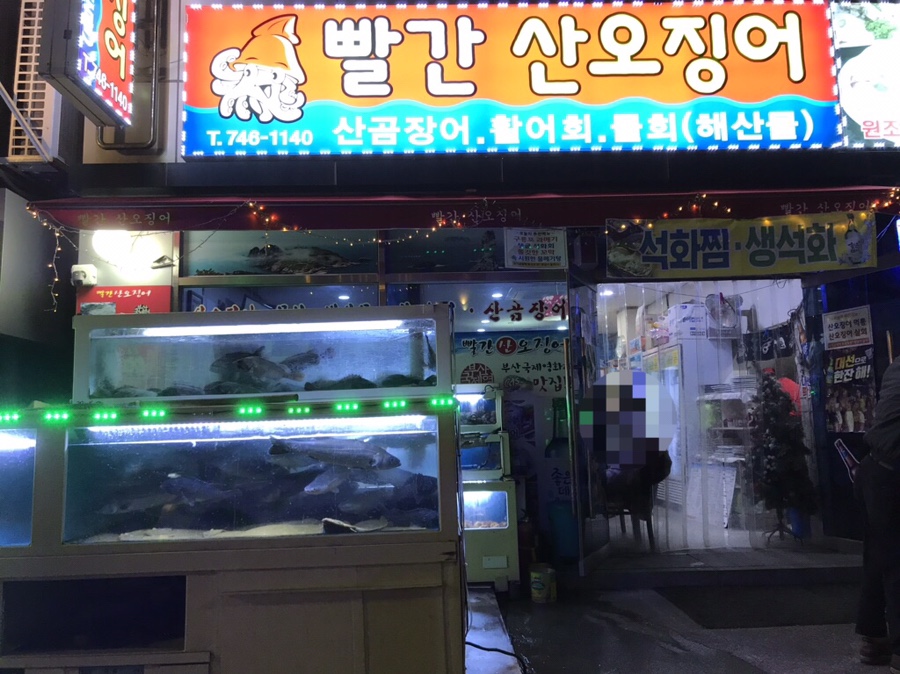 빨간산오징어 이미지