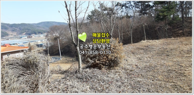 정안농협주유소 이미지