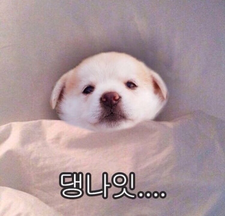 카페달리 이미지