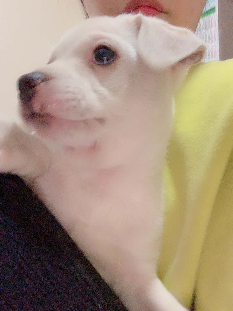 리라공방 이미지