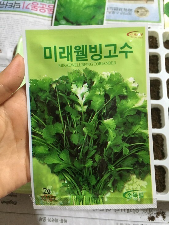 고수 이미지