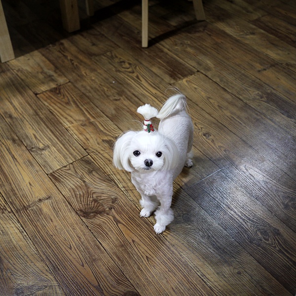 쿠바(CUBAR) 이미지