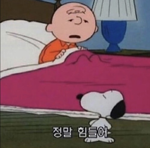 민주네 이미지