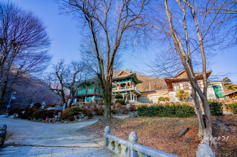 법인엘림랜드 이미지