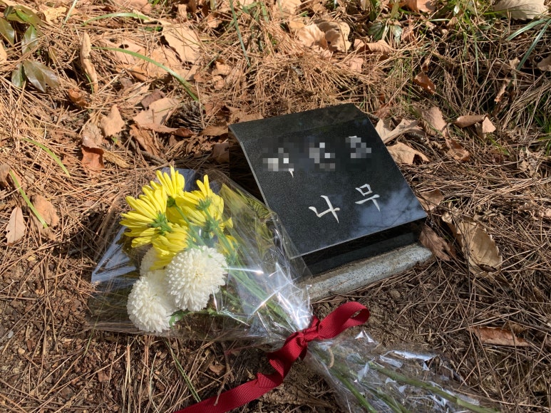 꽃집애 이미지