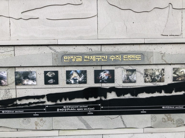 오키서키투어(Mario Travel Agency) 이미지