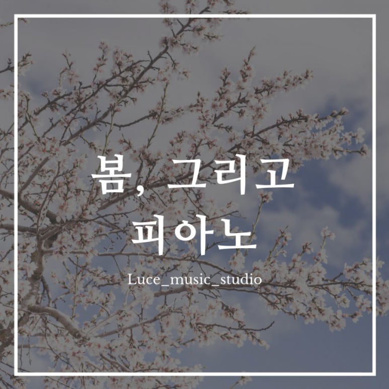 봄피아노교습소 이미지