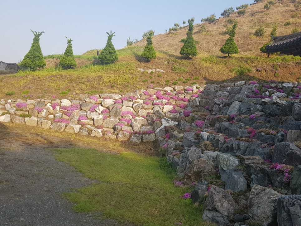 창조조경건설 이미지