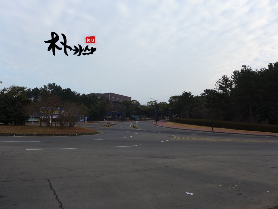 김밥천국제주대학점 이미지