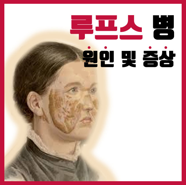 안양로372번길 이미지