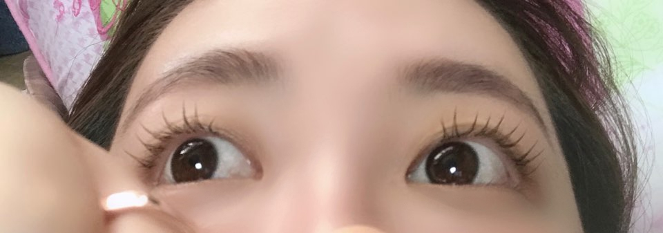 신디코리아 이미지